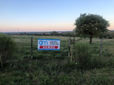 Campo / Chacra en Venta en Mercedes, Soriano