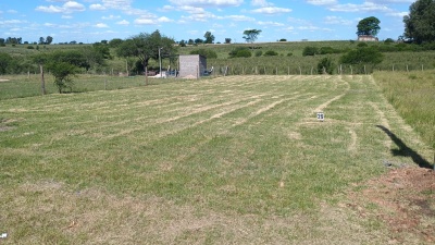 Terrenos en Venta en Mercedes, Soriano