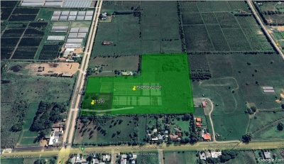 Campo / Chacra en Venta en Zona Este, Salto, Salto