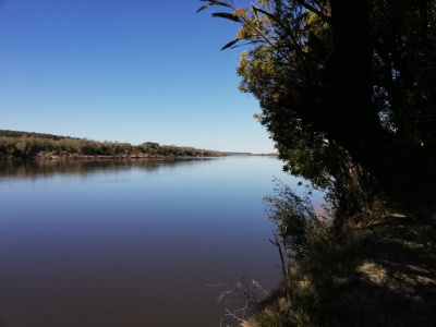 Campo / Chacra en Venta en VILLA DARWIN, Otras localidades, Soriano