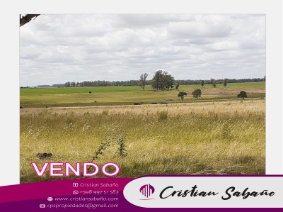 Campos y Chacras en Venta en Guichón, Paysandú