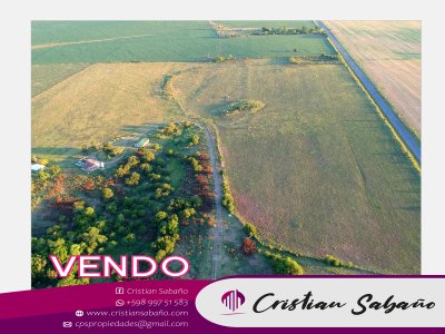 Campo / Chacra en Venta en Paysandú, Paysandú