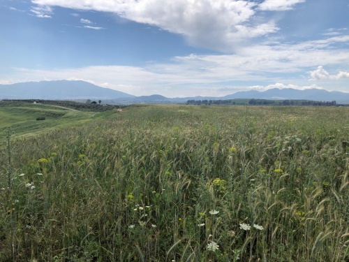 Terrenos en Venta en Cártama, Andalucia