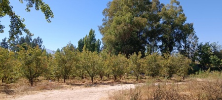 Terrenos en Venta en El Durazno, Las Cabras, Libertador General Bernardo O'Higgins