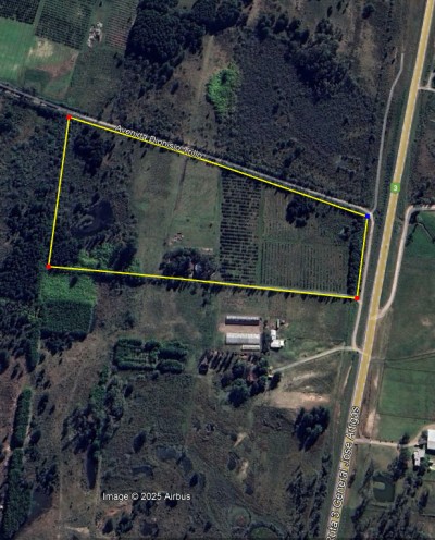 Campo / Chacra en Venta en  RUTA 3 y Av Apolón, Salto, Salto