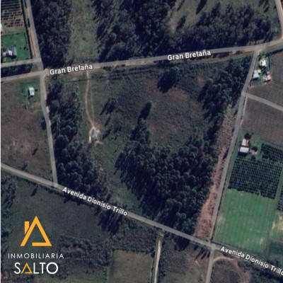 Campo / Chacra en Venta en  RUTA 3 y Av Apolón, Salto, Salto