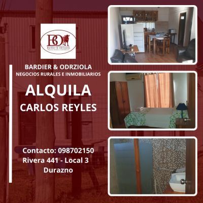 Apartamento en Alquiler en Carlos Reyles, Durazno