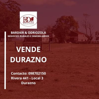 Campo / Chacra en Venta en Tejeras, Durazno , Durazno