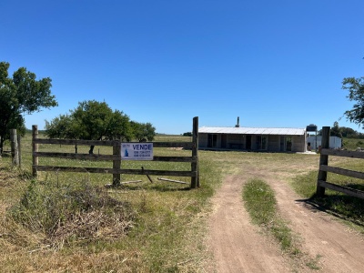 Campo / Chacra en Venta en La curva, Durazno , Durazno