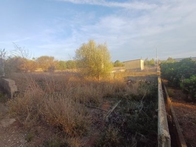 Terrenos y parcelas en Venta en Carcaixent, Comunidad Valenciana