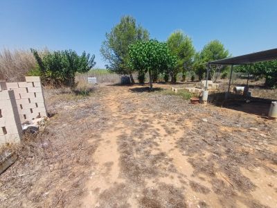 Chalets y casas de campo en Venta en Rafelguaraf, Comunidad Valenciana