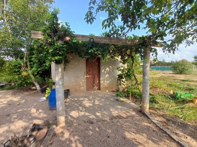 Chalets y casas de campo en Venta en Carcaixent, Comunidad Valenciana