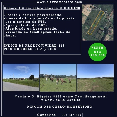 Campo / Chacra en Venta en Rincón del Cerro, Montevideo