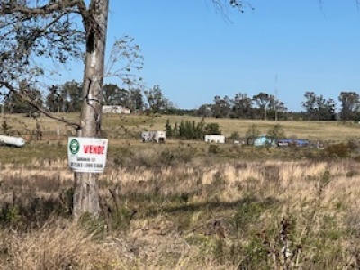 Campo / Chacra en Venta en Salto, Salto