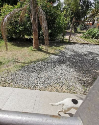 Casa en Venta,  Alquiler en El Pinar, Ciudad de la Costa, Canelones