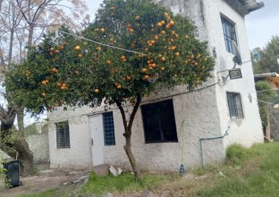 Casa en Alquiler en Montes de Solymar, Ciudad de la Costa, Canelones