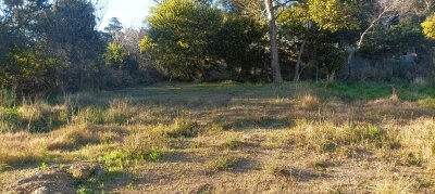 Terreno en Venta en La Floresta, Canelones