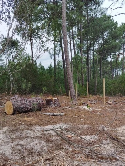 Terreno en Venta en Santa Ana, Canelones