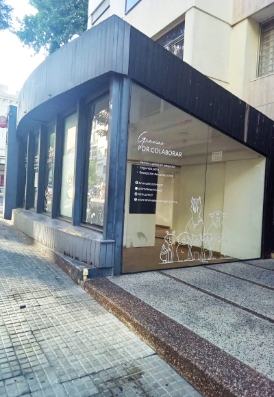 Local Comercial en Alquiler en Pocitos, Montevideo