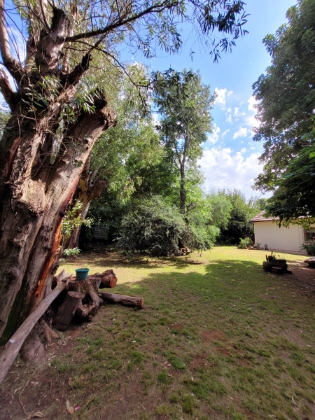 Terrenos en Venta en Berazategui, Buenos Aires