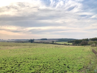 Campo / Chacra en Venta en Minas, Lavalleja