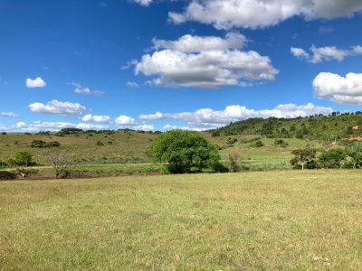 Terreno en Venta en Minas, Lavalleja