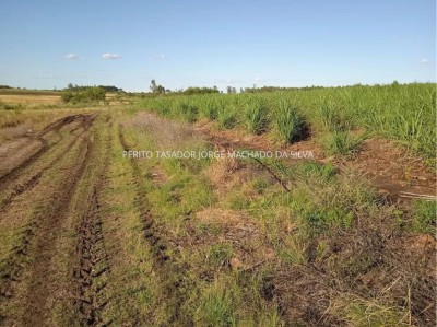 Campo / Chacra en Venta en BELLA UNION, Bella Unión, Artigas