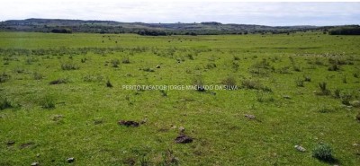 Campo / Chacra en Venta en Paso Del Cerro, Tacuarembó