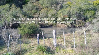 Campos y Chacras en Alquiler en Rivera, Rivera