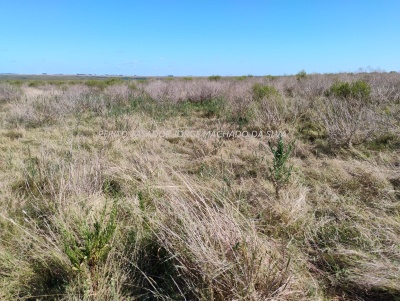 Campo / Chacra en Alquiler en Tranqueras, Rivera