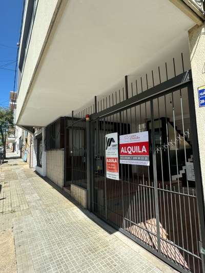 Casa en Alquiler en Centro, Salto, Salto