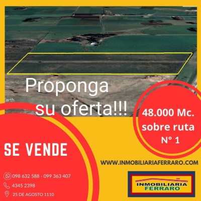 Campos y Chacras en Venta en Puntas de Valdez, San José