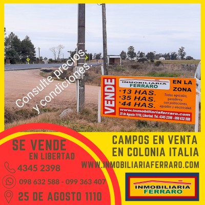 Campo / Chacra en Venta en Colonia Italia, San José