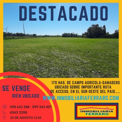 Campo / Chacra en Venta en Libertad, San José