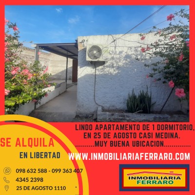 Casas y Apartamentos en Alquiler en CENTRO, Libertad, San José