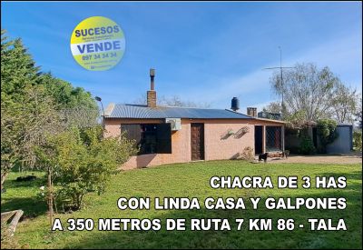 Campo / Chacra en Venta en RUTA 7 KM 86 CAMINO FELICIANO, Tala, Canelones