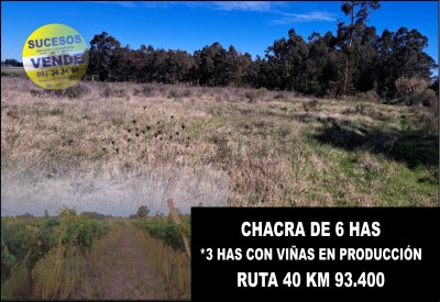 Campo / Chacra en Venta en VEJIGAS - RUTA 40 KM 93.400, Tala, Canelones