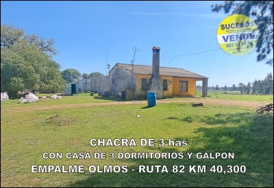 Campos y Chacras en Venta en RUTA 82 KM 40.300, Empalme Olmos, Canelones