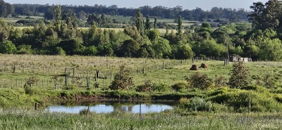 Campo / Chacra en Venta en Tapia, Canelones