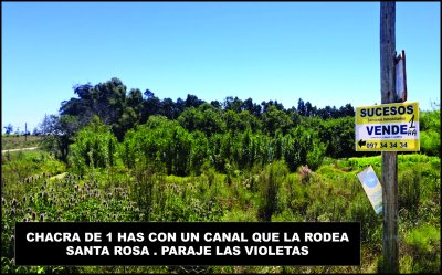 Campo / Chacra en Venta en LAS VIOLETAS, Santa Rosa, Canelones