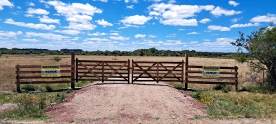 Campo / Chacra en Venta en Tapia, Canelones