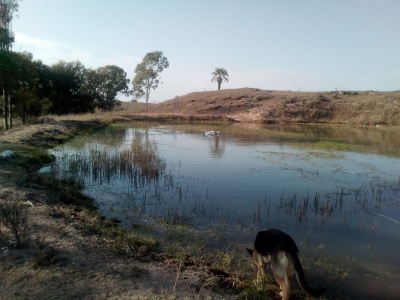 Campo / Chacra en Venta en Fray Bentos, Río Negro