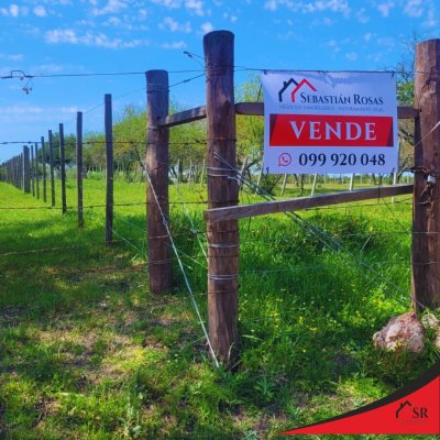 Campo / Chacra en Venta en BARRIO PAMER, Mercedes, Soriano