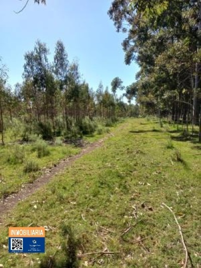 Campo / Chacra en Venta en Atlantida, Canelones