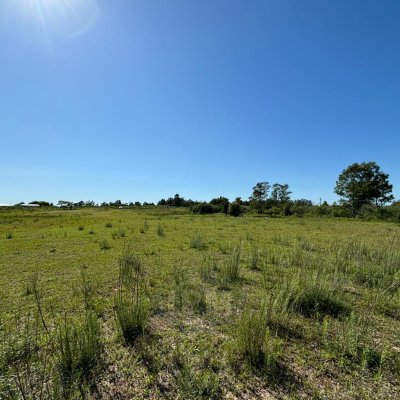 Campo / Chacra en Venta en Salto, Salto