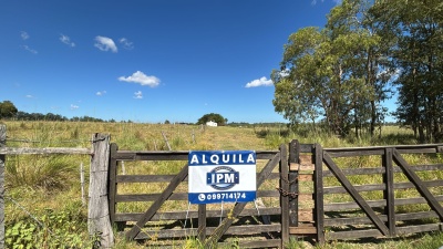 Campo / Chacra en Alquiler en Salto, Salto