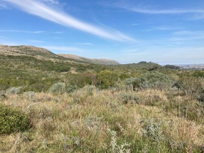 Campos y Chacras en Venta en Sierras de Rocha, Rocha, Rocha