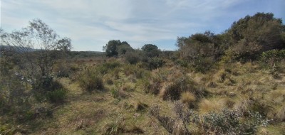 Campos y Chacras en Venta en Sierras de Rocha, Rocha, Rocha