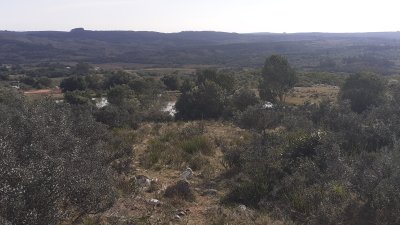 Campo / Chacra en Venta en Sierras de Rocha, Rocha, Rocha