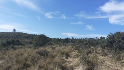 Campos y Chacras en Venta en Sierras de Rocha, Rocha, Rocha